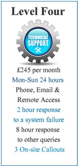 Technical Support Level Four per month